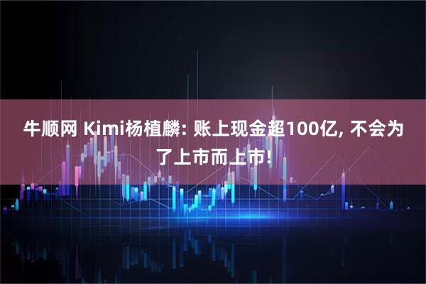 牛顺网 Kimi杨植麟: 账上现金超100亿, 不会为了上市而上市!