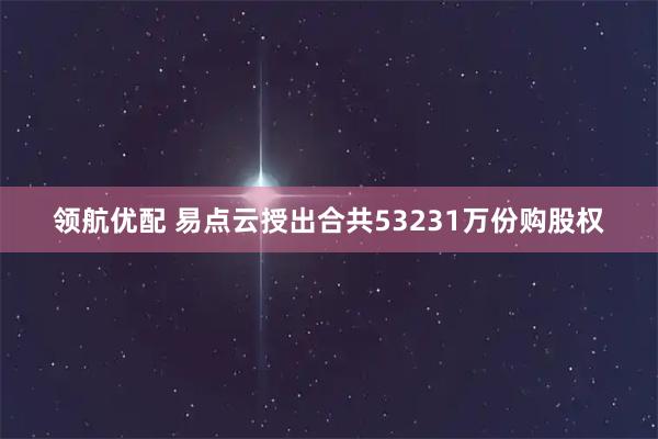 领航优配 易点云授出合共53231万份购股权