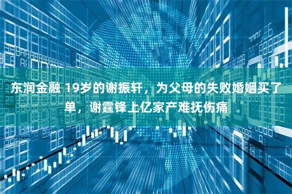 东润金融 19岁的谢振轩，为父母的失败婚姻买了单，谢霆锋上亿家产难抚伤痛